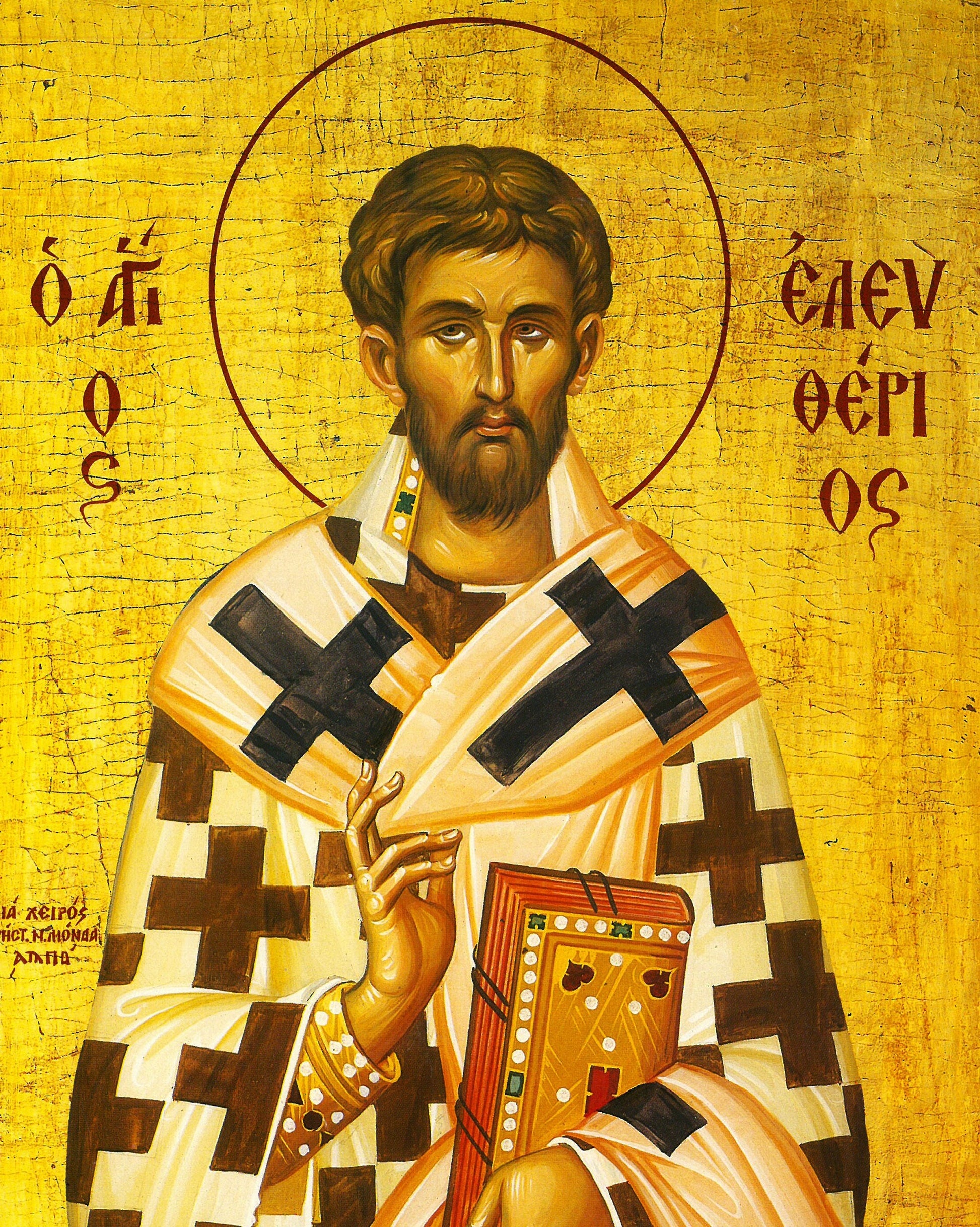 Saint Eleftherios icon, Handmade Greek Orthodox icon of St Eleftherius, Byzantine art wall hanging icon wood plaque, religious decor TheHolyArt