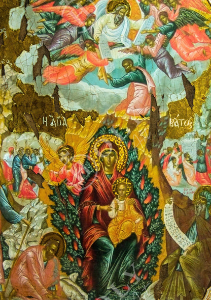 Virgin Mary icon Burning Bush Panagia, Handmade Greek Orthodox icon Theotokos, Mother of God Byzantine wall hanging canvas gold leaf 51x28cm - TheHolyArt