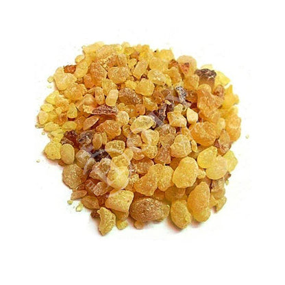 AUTHENIC Pure Frankincense Tears Organic Gum Natural Aromatic Blessed Byzantine Livani Incense Resin Church supplies Aromatherapy in Bulk - TheHolyArt