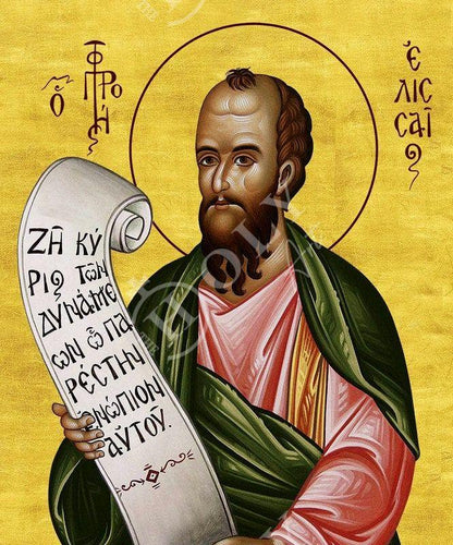 Prophet Elissaios icon, Handmade Greek Orthodox icon of Saint Eliseus, Byzantine art wall hanging on wood plaque icon, religious decor - TheHolyArt